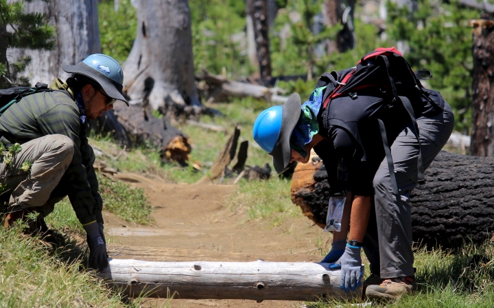 two students prepare to lift a log off a trail while completing a service project with outward bound